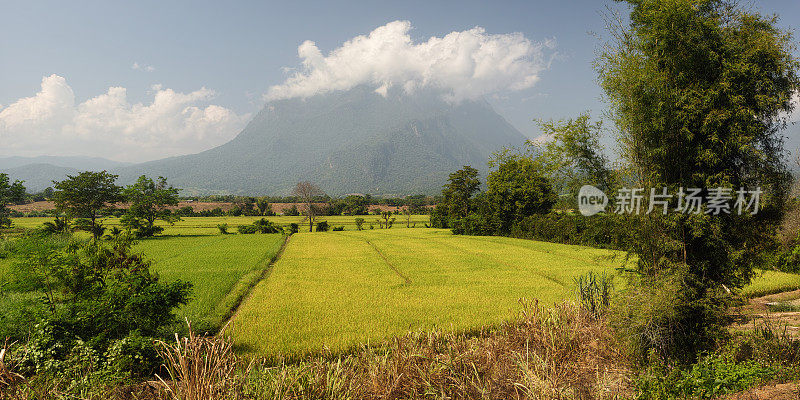 Doi Luang 山和清道。